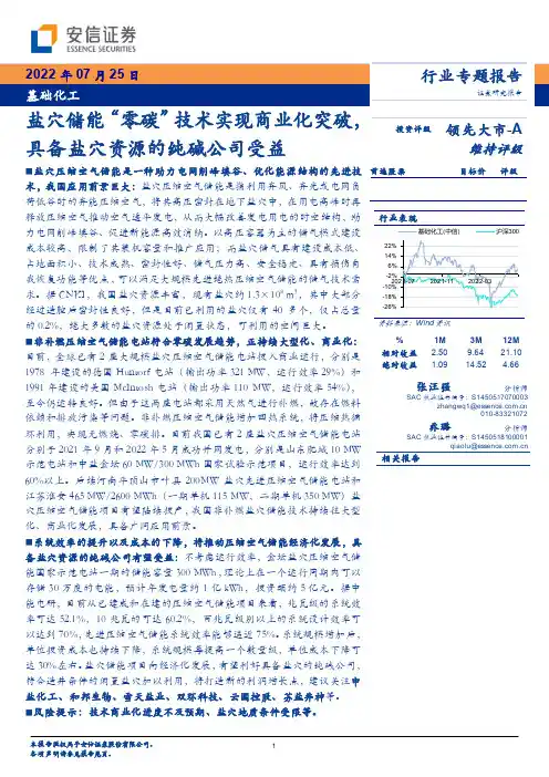 基础化工行业专题报告：盐穴储能“零碳”技术实现商业化突破，具备盐穴资源的纯碱公司受益