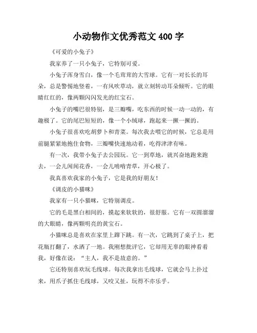 小动物作文优秀范文400字
