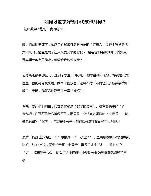 如何才能学好初中代数和几何？