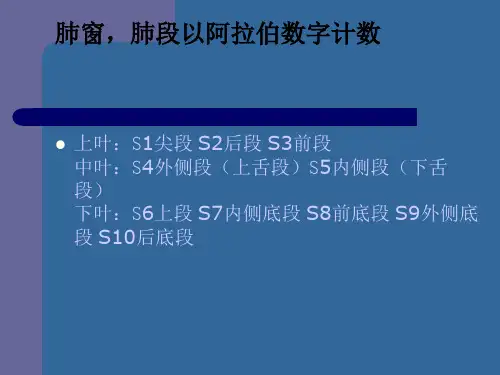 肺分段经典解剖