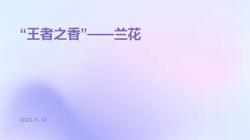 “王者之香”——兰花