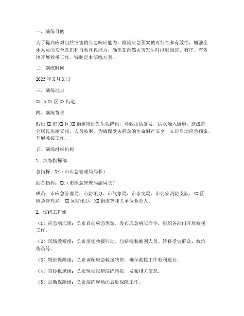 自然灾害方面应急预案演练
