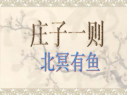 第21课《庄子-故事两则-北冥有鱼》PPT课件6-八年级语文下册统编版
