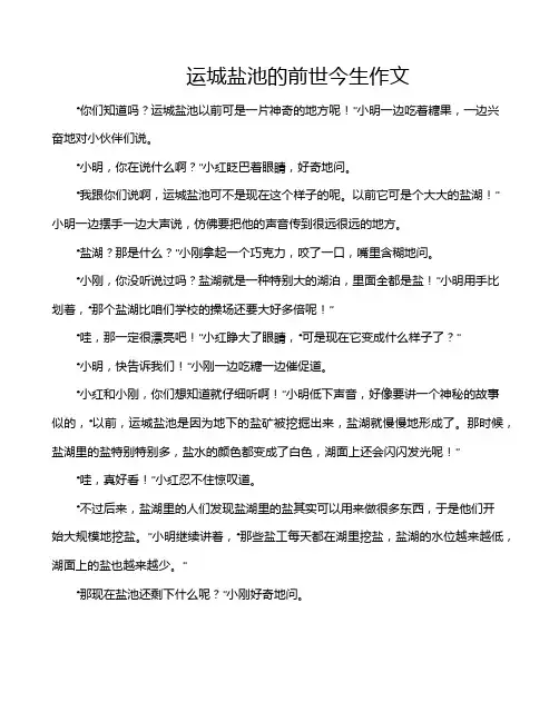 运城盐池的前世今生作文