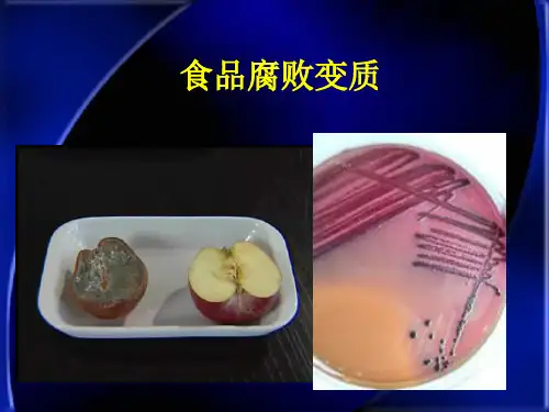 2.2 食品腐败变质