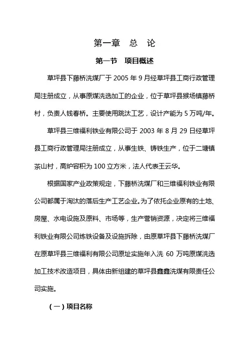 年入洗原煤60万吨技改工程项目可行性研究报告