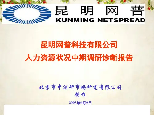 人力资源项目管理状况分析(ppt 42页)