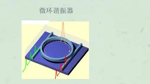 微环谐振器及相关器课件