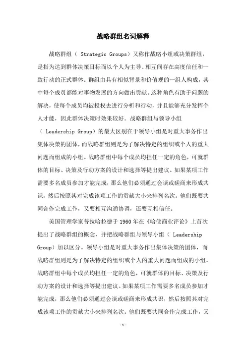 战略群组名词解释