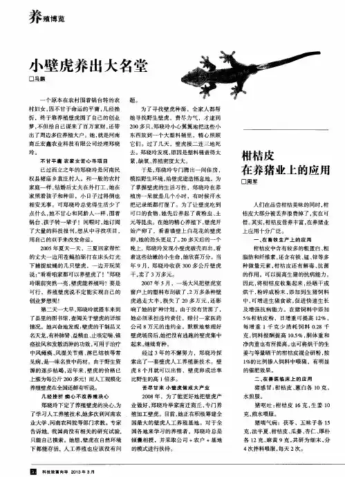 小壁虎养出大名堂