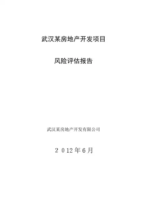 房地产开发项目风险评估报告