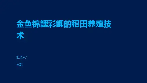 金鱼锦鲤彩鲫的稻田养殖技术