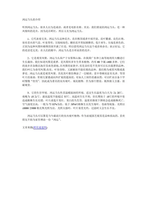鸿运当头的介绍
