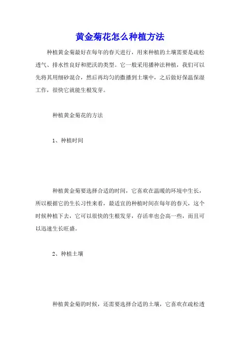 黄金菊花怎么种植方法