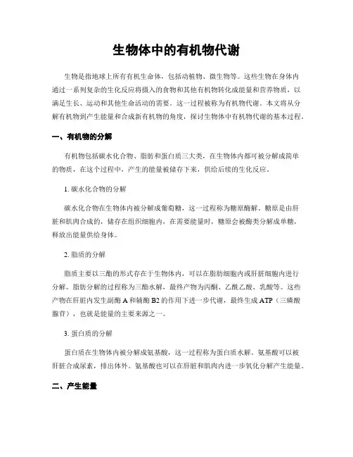 生物体中的有机物代谢