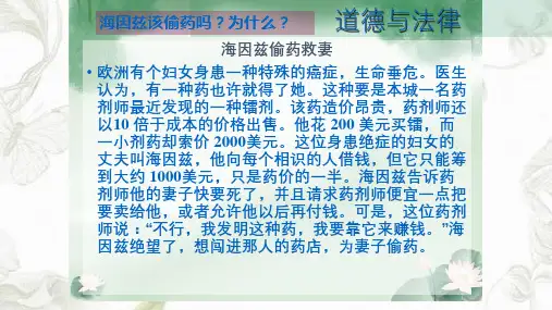 弘扬法治精神当好国家公民课件