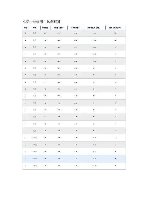 体测评分标准