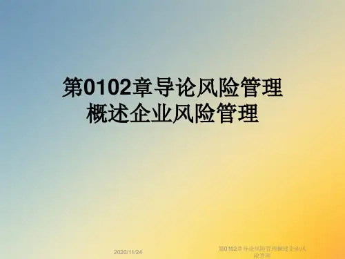 第0102章导论风险管理概述企业风险管理