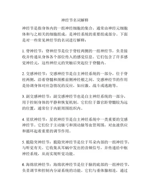 神经节名词解释