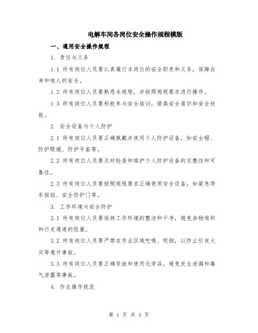 电解车间各岗位安全操作规程模版
