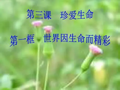 世界因生命而精彩_[初中政治_政治课件_课件]