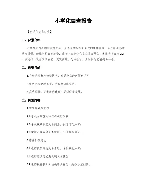 小学化自查报告