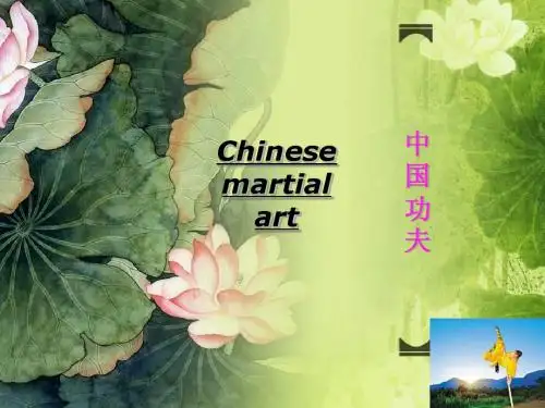 中国功夫介绍英文版