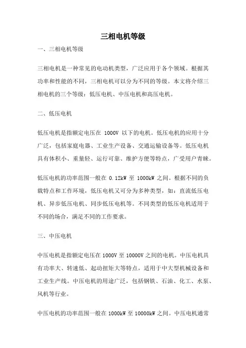 三相电机等级