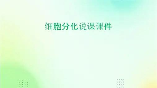 细胞分化说课课件