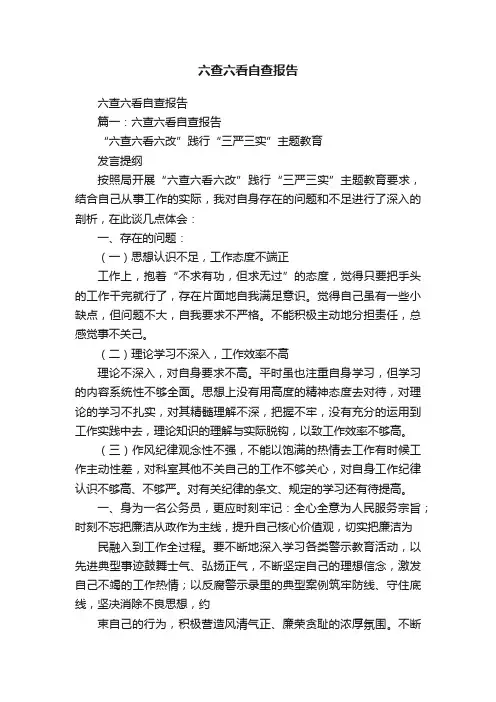六查六看自查报告
