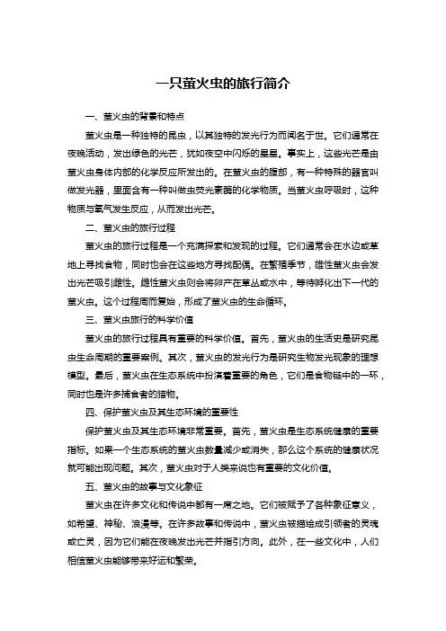 一只萤火虫的旅行简介