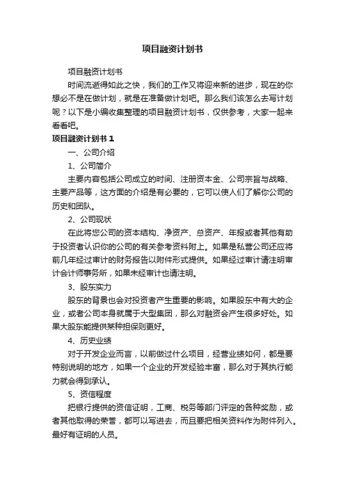 项目融资计划书