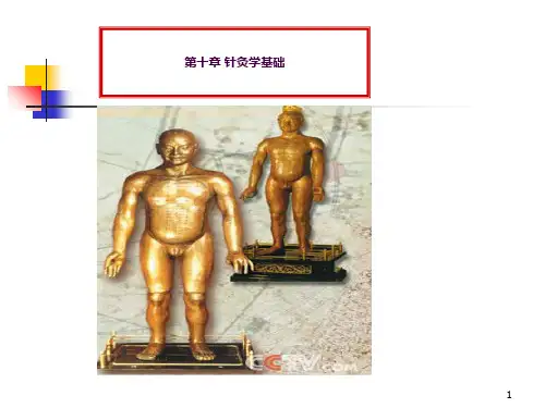 针灸学(第七版)ppt课件