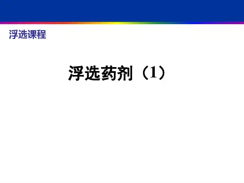 矿物浮选第4章浮选药剂1