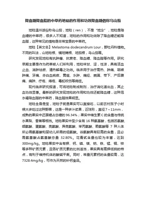 降血糖降血脂的中草药地稔的作用和功效降血糖俗称乌山茄