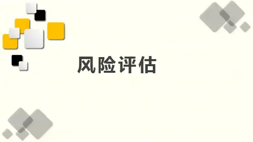 风险评估