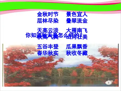 秋天的图画   精美课件PPT