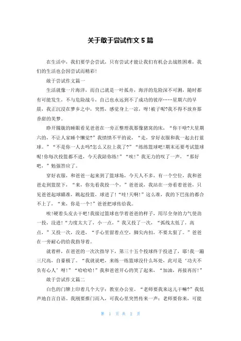 关于敢于尝试作文5篇