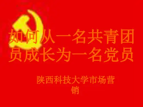 如何从一名共青团员成长为党员(PPT格式)