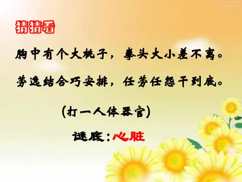 心脏的结构和功能PPT课件