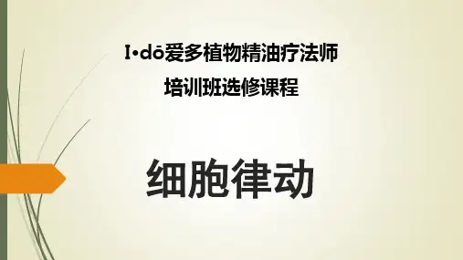 细胞律动(2019.2.16)