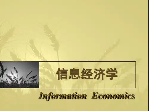 20 信息经济学26页PPT