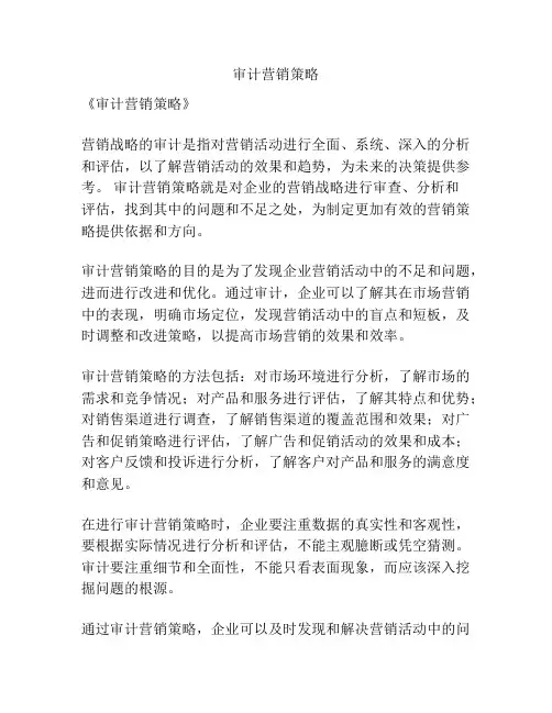 审计营销策略
