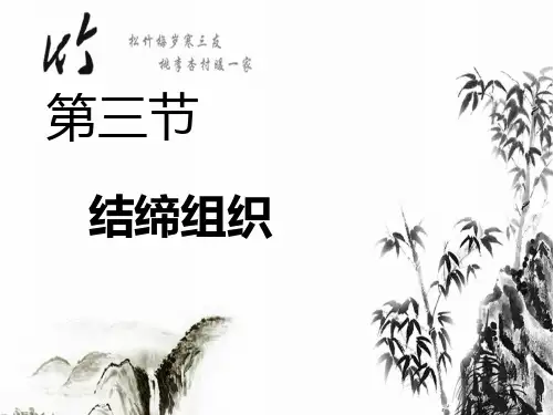 第三节结缔组织