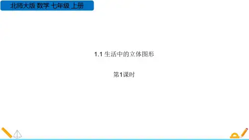 《生活中的立体图形》丰富的图形世界PPT课件