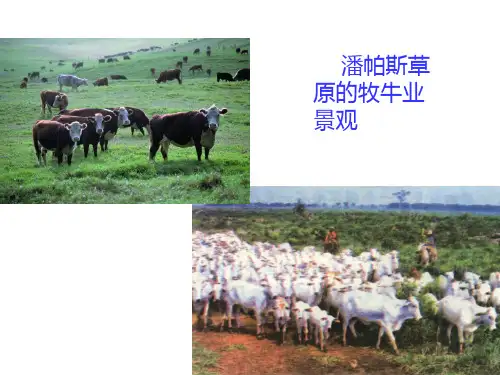 区域农业的可持续发展以美国农业为例课件