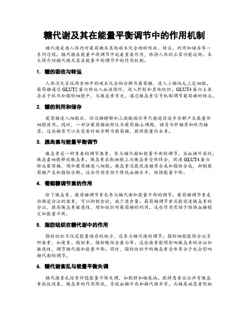 糖代谢及其在能量平衡调节中的作用机制