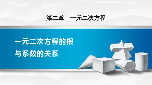 《一元二次方程的根与系数的关系》一元二次方程PPT赏析教学课件
