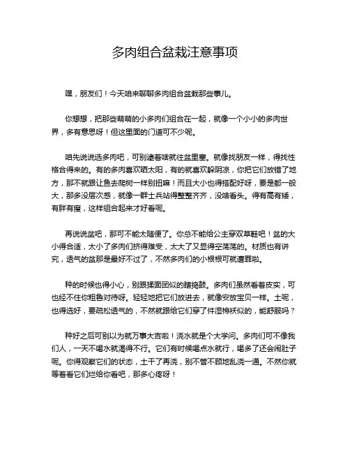 多肉组合盆栽注意事项