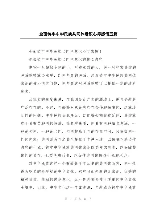 全面铸牢中华民族共同体意识心得感悟五篇